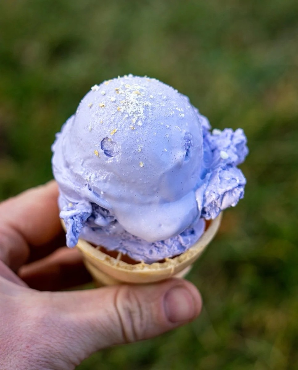 A scoop of honey lavender nitro ice cream in a waffle cone